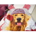 Labrador Dog Beagle Buldog Farm Dog My Dog Girl Ruffle Dress Size 5t/6 Ready to ship