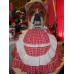 Labrador Dog Beagle Buldog Farm Dog My Dog Girl Ruffle Dress Size 5t/6 Ready to ship